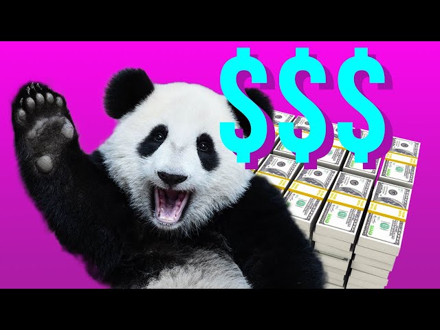 Want to Buy a Panda? Here's What It Takes