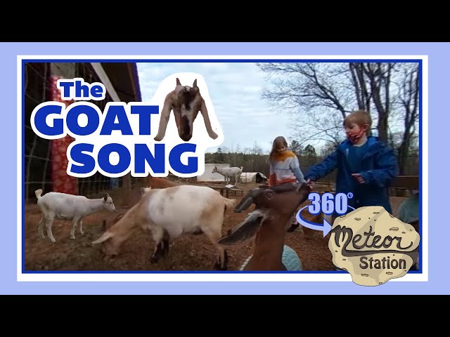 Educational Goat Song | Funny kids songs Music Video VR 360