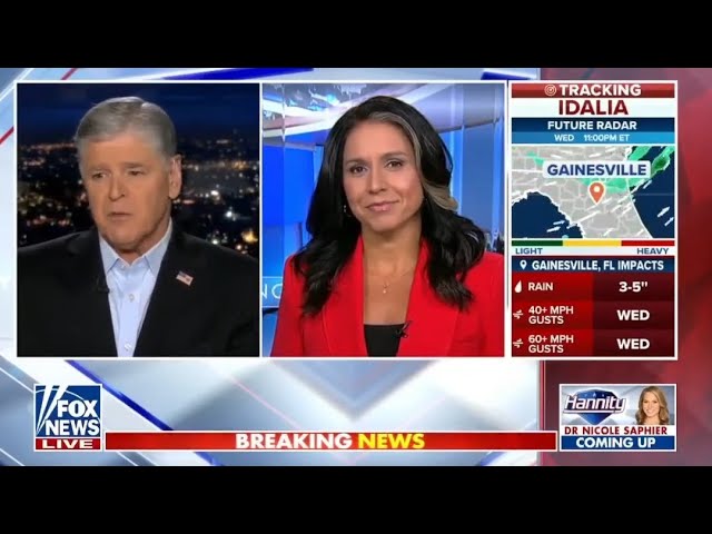 Sean Hannity Asks Tulsi Gabbard About No Labels