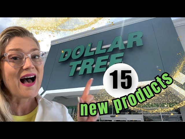 1-Hour Organizing with DOLLAR TREE (it’s not too late!)