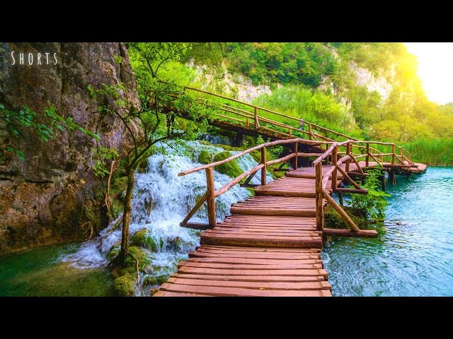 Welcome to Soothing Relaxation 💚 Home of Relaxing Music & Beautiful Nature