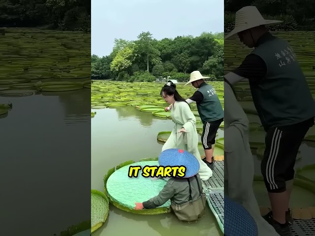 China's Strange River Transportation 😳