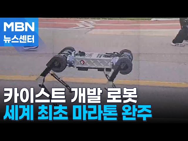 국내 연구진 개발 4족보행 로봇, 세계 최초로 마라톤 풀코스 완주 [MBN 뉴스센터]