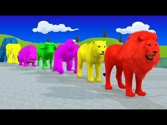 Long Slide Game With Elephant Gorilla Buffalo Hippopotamus Tiger - 3d Animal Game - Funny 3d Animals