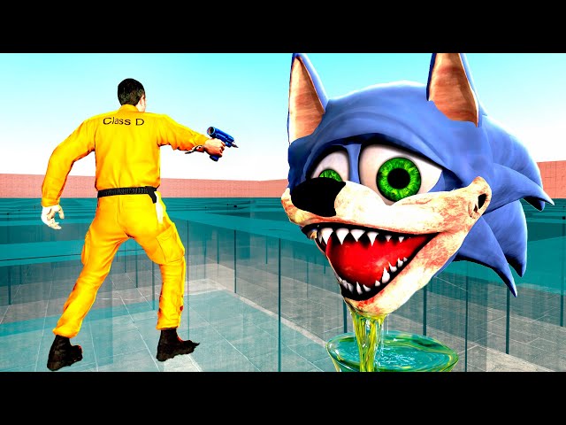 Sonic EYX Chasing Us in a Glass Maze Garry's Mod Sandbox