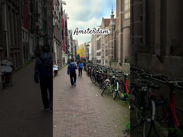 Amsterdam city tour   #amsterdam #citytour #travelling