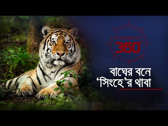 বাঘের বনে সিংহের থাবা | Investigation 360 Degree | EP 377 | Jamuna TV