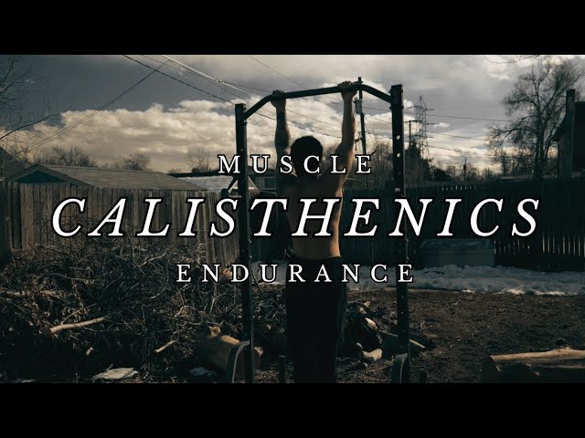 A Deep Dive Into Calisthenics Circuit Training