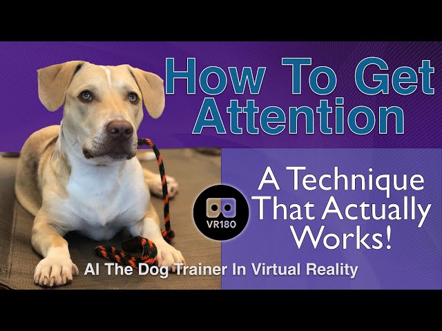 How To Get Attention! A Technique that Actually Works! In 3D Virtual Reality!