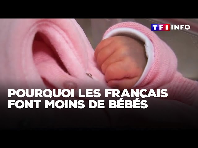 Pourquoi les Français font moins de bébés｜TF1 INFO