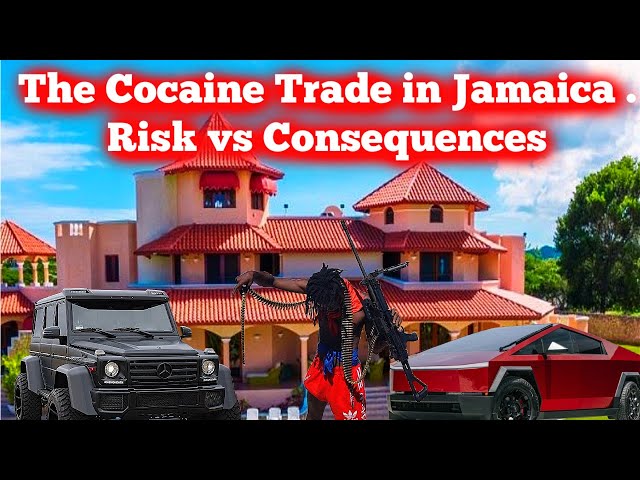 Jamaica Cocaine Business Big Money with Little Consequences