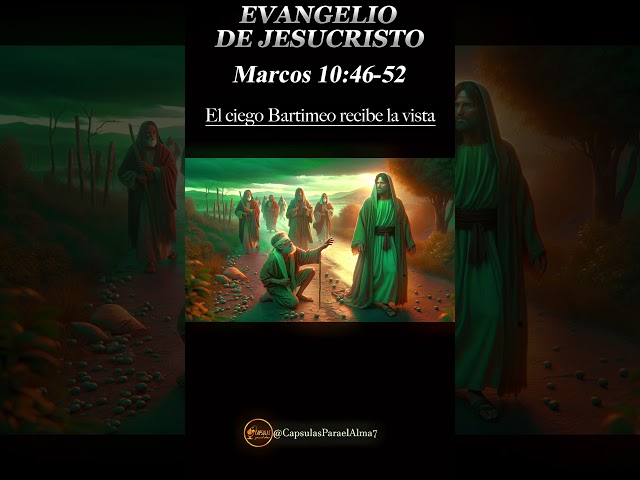 EVANGELIO DE HOY 📖 🌟 Domingo 27 de Octubre 2024 ✝️ Reflexión, Mensaje y Bendición del Día 🙏✨