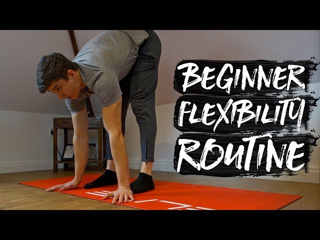 15 Minute Beginner Stretch Flexibility Routine! (FOLLOW ALONG)