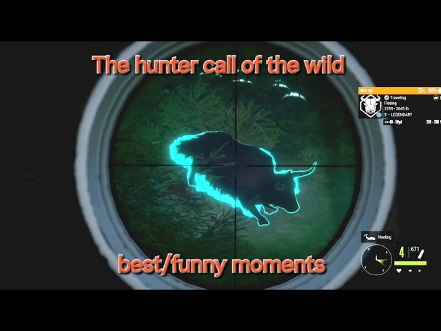 The hunter call of the wild best/funny moments