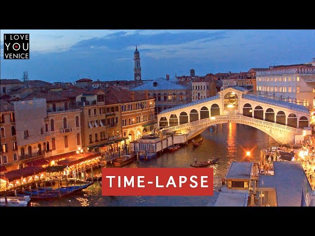 Rialto Bridge Timelapse (24h) - Venice in Motion