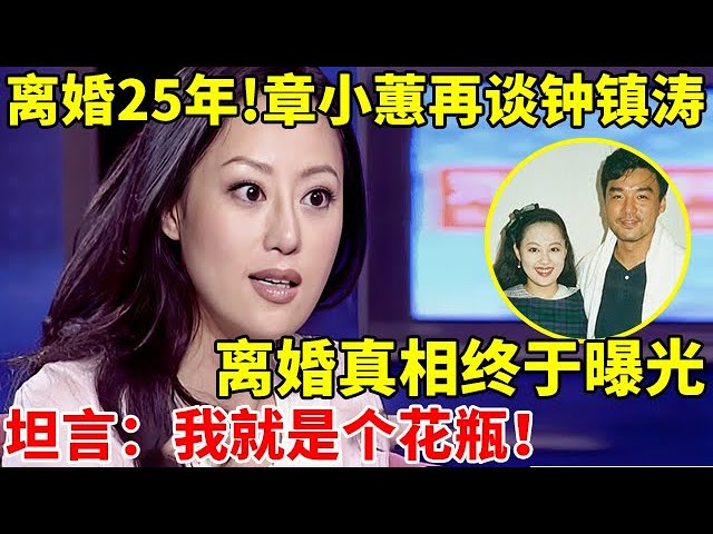 离婚25年后!章小蕙再谈前夫钟镇涛,离婚真相终于曝光了,坦言:我就是个花瓶【对谈大明星】#章小蕙