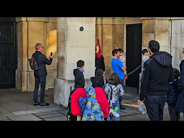 IDIOTS APLENTY IN AND OUT OF THE YARD ON A JAM-PACKED DAY OF TOURIST STUPIDITY at Horse Guards!