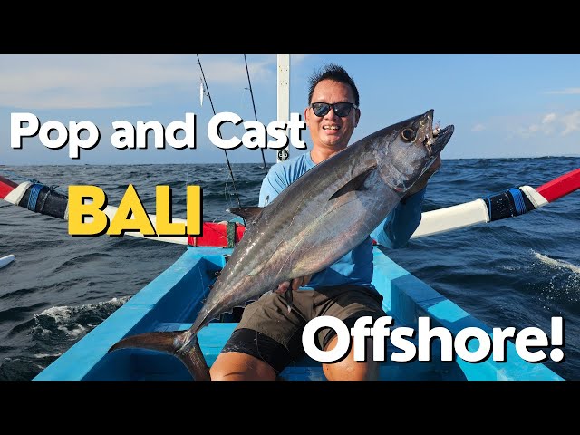 Bali Fishing - Dogtooth Tuna and Rainbow Runner