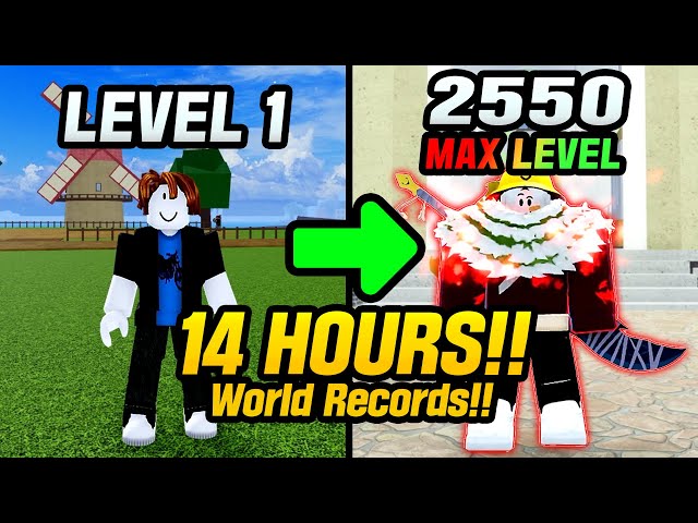 Blox Fruits Noob To Max Level in Just 14 hours! [World Record]