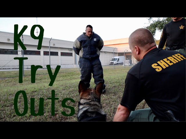 K9 Try Outs | Ep 139 | PSO Day in the Life