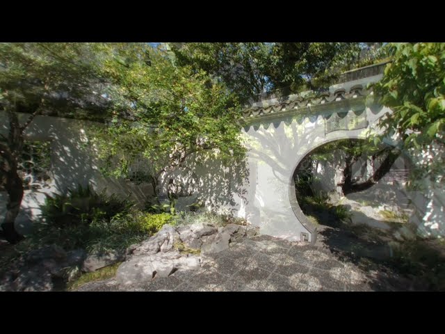 VR180 Travelogue - Portland Chinese Garden