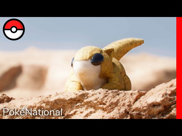 The Sandy Sensation - Sandshrew | PokéNational