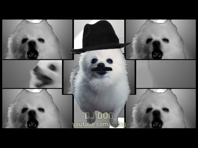 Scatdog (ski-ba-bop-ba-dop-bop) Gabe the Dog Remix