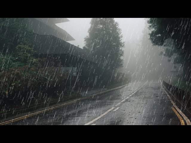 Wonderful Rain Sound for Sleep, Relaxing, Study, Meditation - Rain in Misty Forest