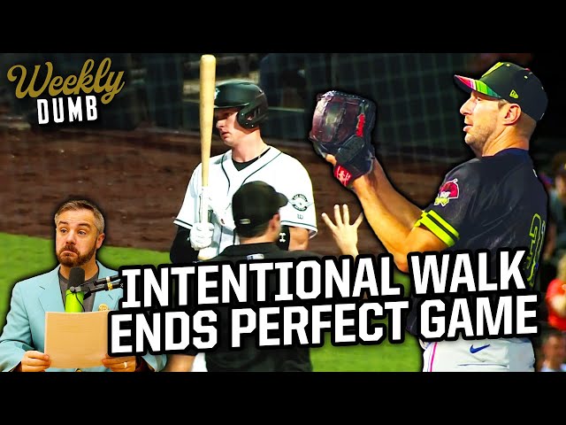 Max Scherzer's perfect game broken up by intentional walk & Cat comes back to life | Weekly Dumb