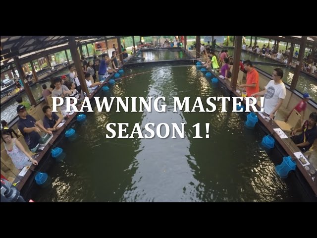 Singapore Prawning - Prawning Master Season 1 Finals! シンガポールでえび釣りに挑戦