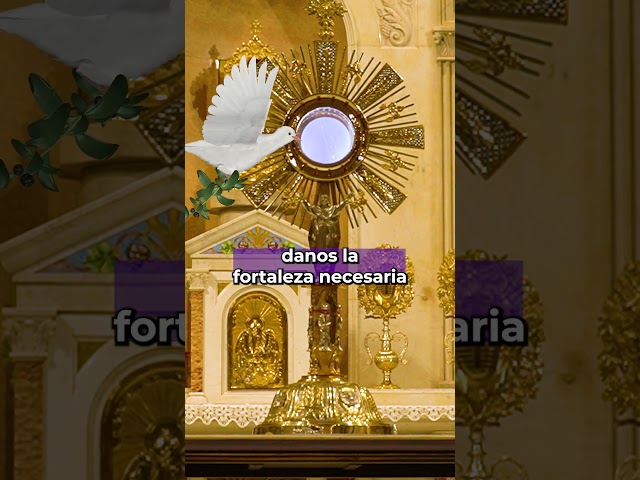 🕊️ ESPÍRITU Santo, Danos FORTALEZA antes las PRUEBAS ❤️ | #santisimo #horasanta #oracion #dios #fe