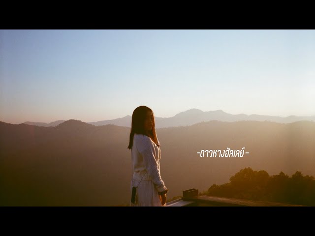 fellow fellow - ดาวหางฮัลเลย์ (Halley’s Comet) | cover by jajanatrada