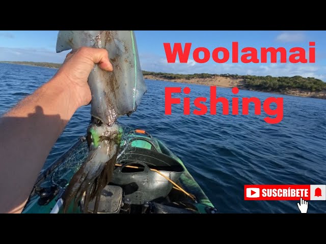 WOOLAMAI FISHING epp. //036