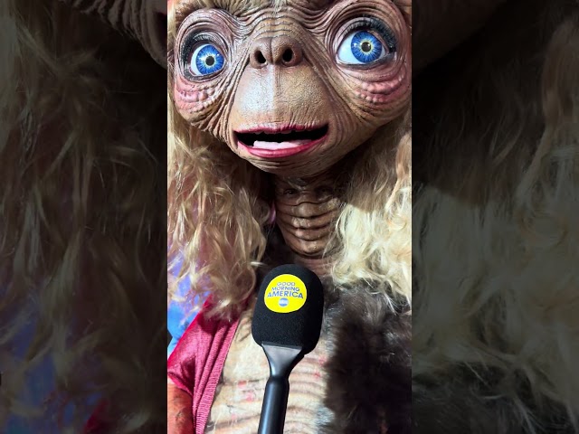 Heidi Klum 2024 Halloween Custom #et