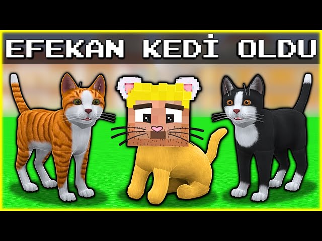 EFEKAN KEDİYE DÖNÜŞTÜ! 😱😺 - Minecraft