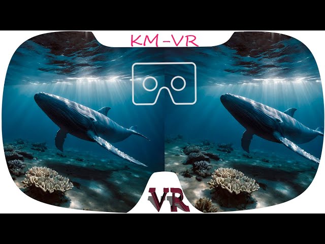 3D VR VIDEOS 526 4K