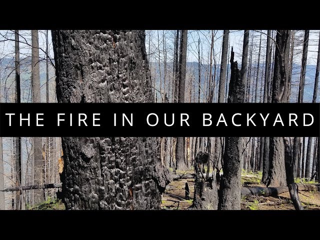 The Fire in Our Backyard - Eagle Creek Fire 360 VR Documentary