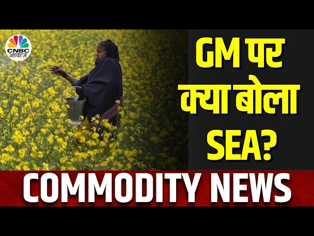 Commodity Market | GM फसलों के समर्थन में आया SEA, आगे के Outlook पर खास चर्चा | CNBC Awaaz