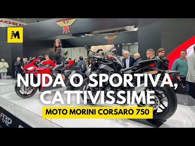 Moto Morini Corsaro 750 e Corsaro Sport a EICMA 2023 [ENGLISH SUB]