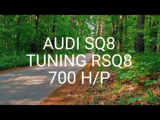 Audi RSQ8 700 H/P