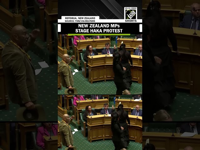 New Zealand MPs stage haka protest against Indigenous treaty bill in parliament