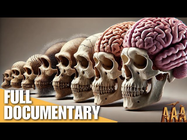 The EVOLUTION Of The Human Brain Will Blow Your Mind!