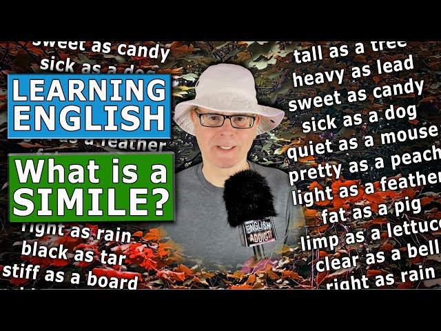 Learning English - What is a simile? - English Addict with Mr Duncan