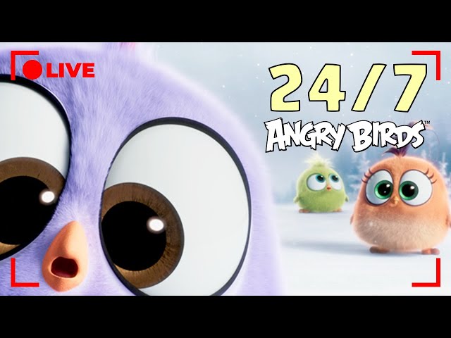 🔴 Angry Birds Non-Stop Fun | All Episodes & Series!