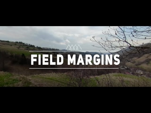 Carpathians Unite - Green Infrastructure: field margins