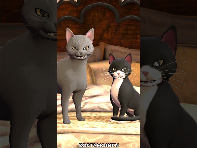 Splendid Cats [SFM] #shorts