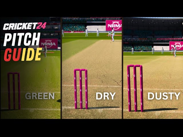 Cricket 24 Pitch Guide: How Different Pitches Impact Your Game!