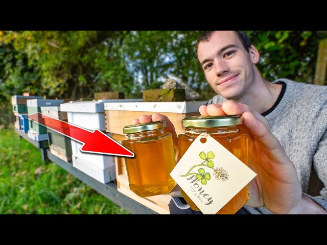 The 2024 honey harvest - Harvesting honey from my bees and making beeswax candles