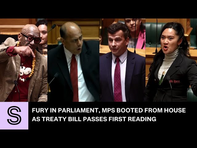 Fury in Parliament, MPs booted from House as Treaty Bill passes first reading | Stuff.co.nz