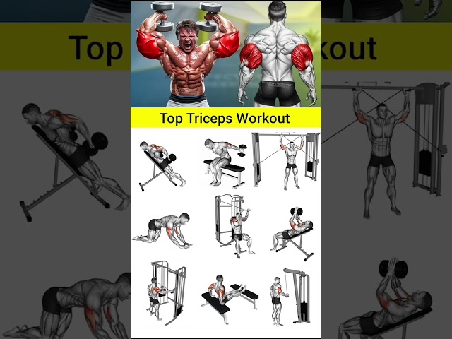 Triceps workout